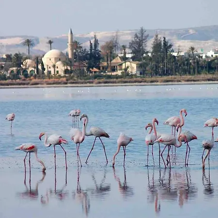 Cozy Holiday Beach House Larnaca